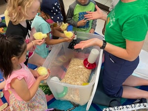 4-H Extension Chicks 2